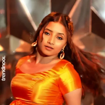 Krishna Shilpa orange satin crop top