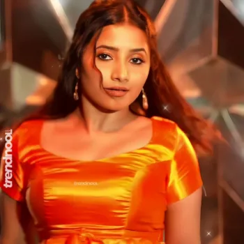 Krishna Shilpa orange satin crop top