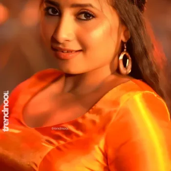 Krishna Shilpa orange satin crop top